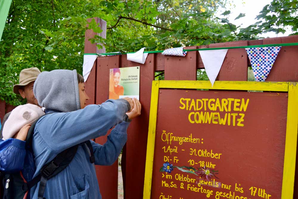Eine Gemeinschaftsgärtnerin der Ökolöwen befestigt die Plakette zur Auszeichnung als offizielles Projekt der UN-Dekade Biologische Vielfalt an der Gartentür des Stadtgarten Connewitz. Foto: Ökolöwe