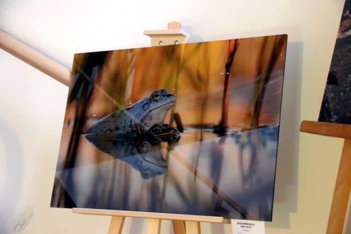 Eine Wanderausstellung von Motiven aus dem Auwald wird ebenfalls an verschiedenen Oerten zu sehen sein, Kauf der Bilder ausdrücklich erwünscht. Foto: L-IZ.de