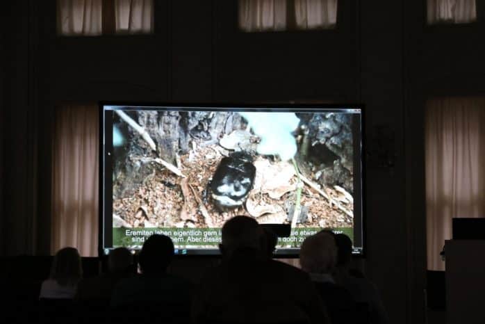 Filmvorführung einer Exkursion im Auwald ind er Handelsbörse. Foto: L-IZ.de