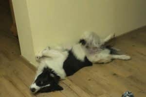 Im Notfall wissen was zu tun ist. Foto: L-IZ.de