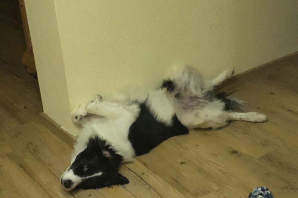 Im Notfall wissen was zu tun ist. Foto: L-IZ.de