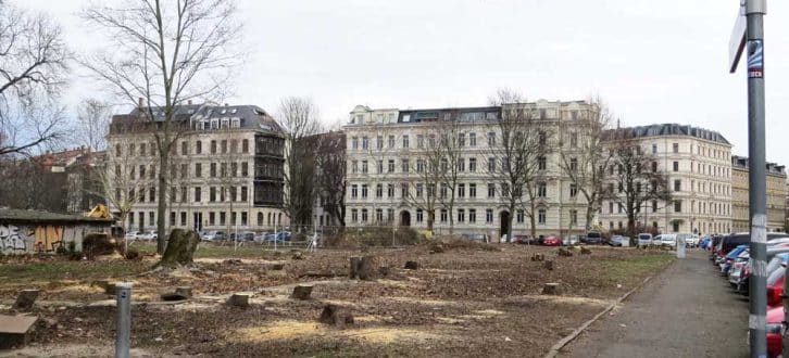 Trauriger und viel zu häufiger Anblick: Wie hier in Leipzig sind Baumfällungen in Sachsen an der Tagesordnung. Foto: Karsten Peterlein