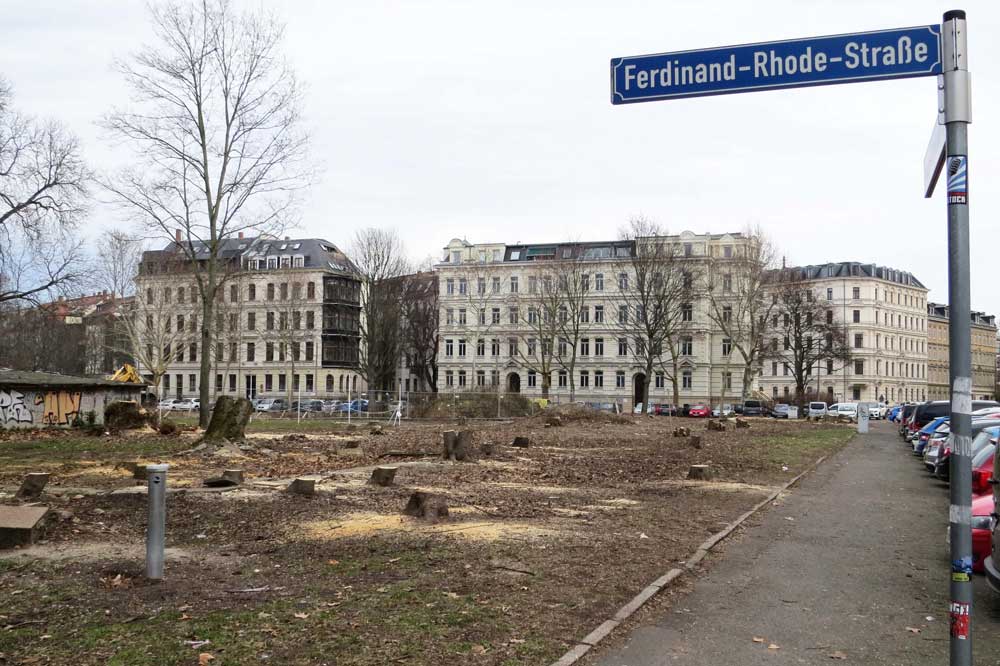 Trauriger und viel zu häufiger Anblick: Wie hier in Leipzig sind Baumfällungen in Sachsen an der Tagesordnung. Foto: Karsten Peterlein