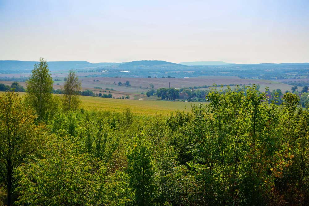 Heute Natur, morgen Beton: Von den IPO-Plänen betroffene Landschaft bei Pirna. Foto: B. Borchers