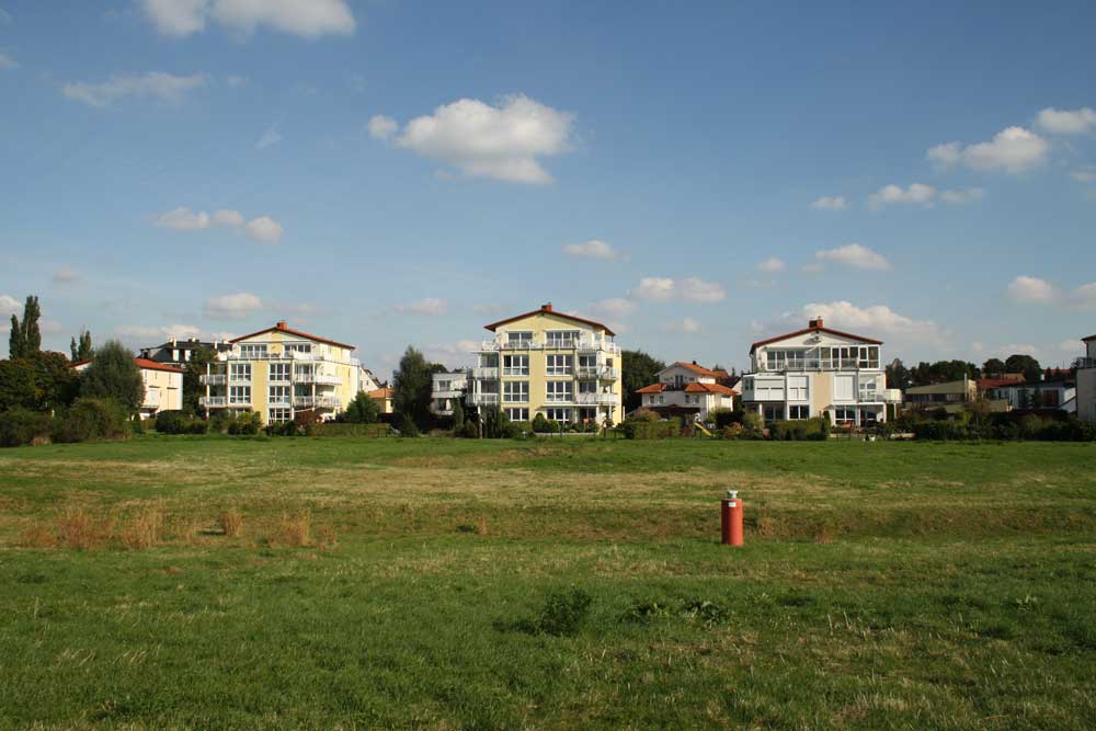Markkleeberger Seeblick mit gelegentlichen Wildschweinbesuchen. Foto: Ralf Julke