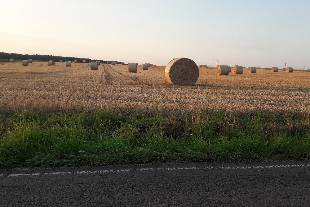 Der ländliche Raum war Thema einer Sondersitzung des sächsischen Landtags. © Leipziger Zeitung