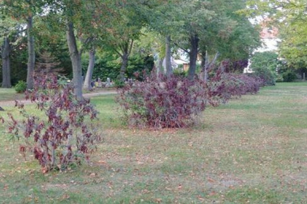 Foto: Stadtverwaltung Eilenburg