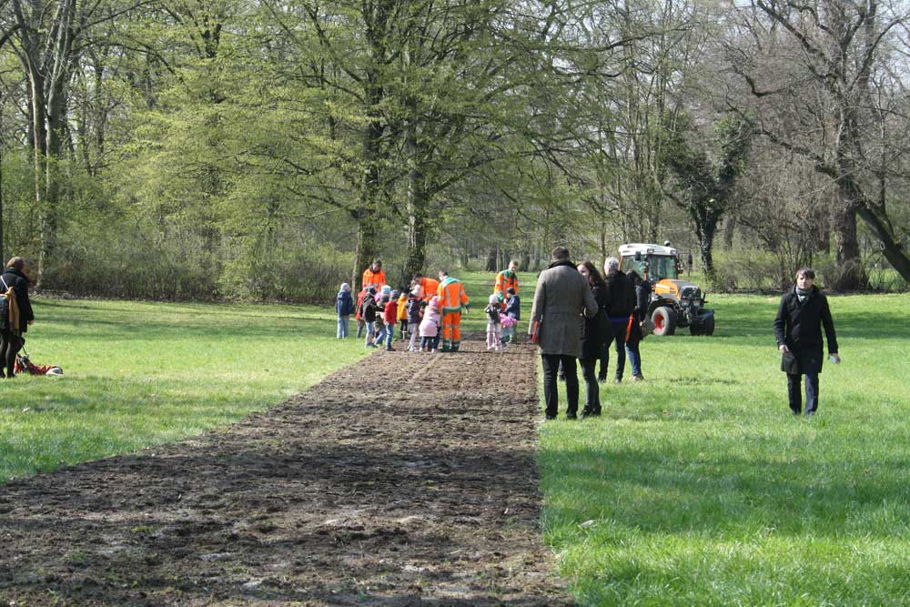 Anlage des ersten Blühstreifens im April 2019 im Clara-Zetkin-Park. Foto: Ralf Julke