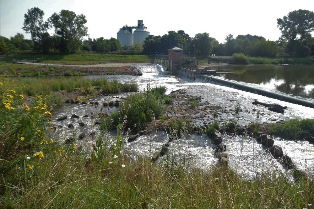 Wehr der Neue Luppe. Foto: Maria Vlaic – NABU Sachsen