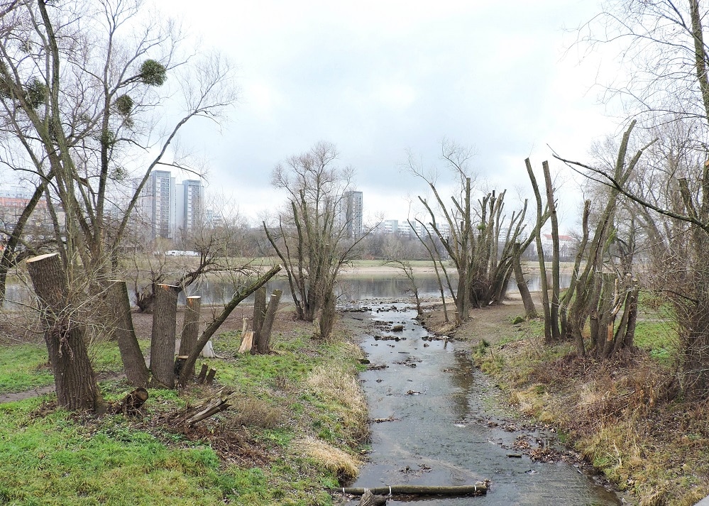 Die Prießnitzmündung, Foto: BUND Dresden