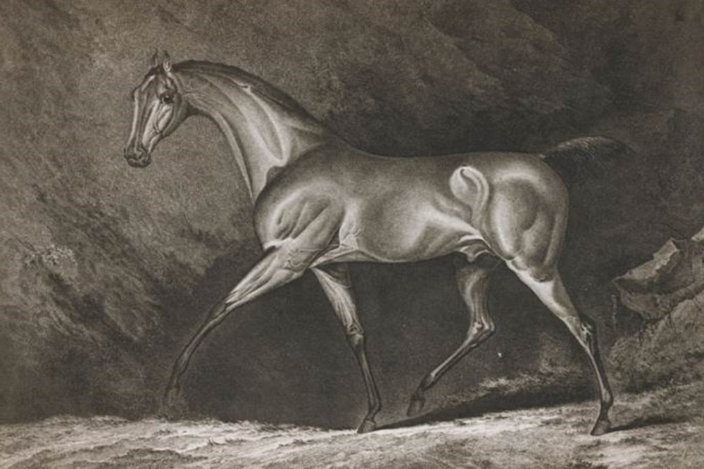 Quelle: Universität Leipzig