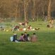 Was soll in Leipziger Parks künftig verboten sein? Foto: Ralf Julke