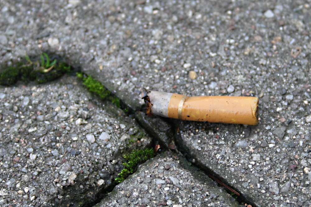 Giftiger Rest. Foto: Ralf Julke