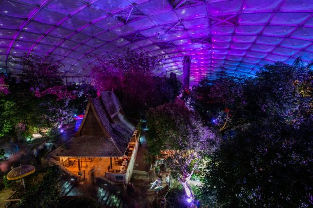 08_Szenische Lichtspiele beim Magischen Tropenleuchten © Zoo Leipzig