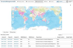 Metadaten-Datenbank "TerrestrialMetagenomeDB“ (Screenshot) Bild: UFZ