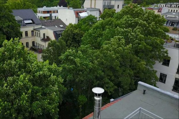 So grün war der Innenhof, bevor die Bäume gefällt wurden. Foto: Frank Wernstedt