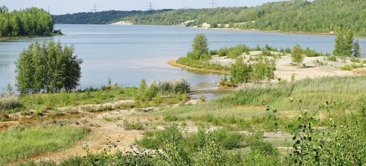 Das Gebiet am Bockwitzer See ist als Naturschutzgebiet, europäisches Fauna-Flora-Habitat-Gebiet und Europäisches Vogelschutzgebiet ausgewiesen. Foto: NABU Südraum Leipzig