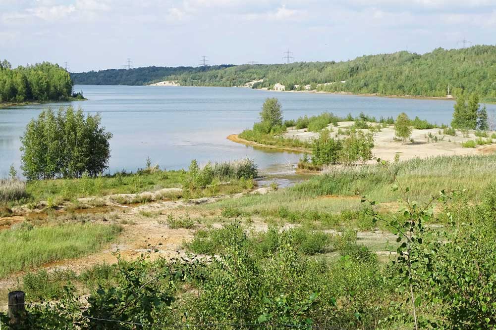 Das Gebiet am Bockwitzer See ist als Naturschutzgebiet, europäisches Fauna-Flora-Habitat-Gebiet und Europäisches Vogelschutzgebiet ausgewiesen. Foto: NABU Südraum Leipzig