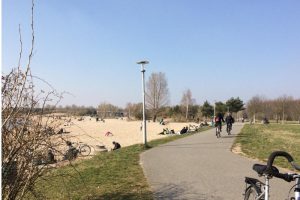 Alle schön verteilt am Cospudener See. Foto: L-IZ.de