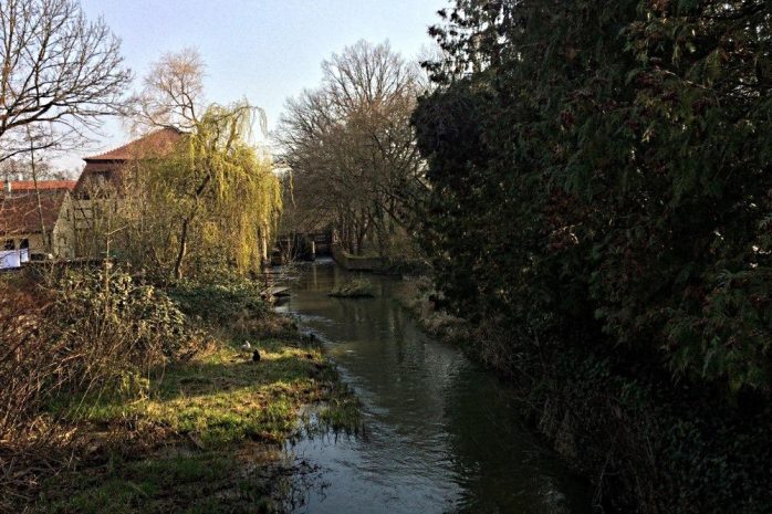 Den H&uuml;hnern sind die Abstandsregeln total egal. Foto: L-IZ.de