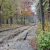 Alter Baumbestand im Gelände der Parkstadt. Foto: L-IZ