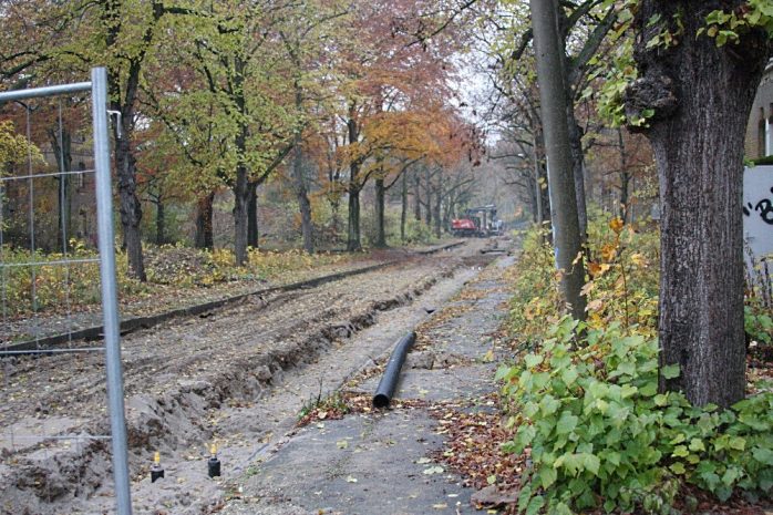 Alter Baumbestand im Gelände der Parkstadt. Foto: L-IZ