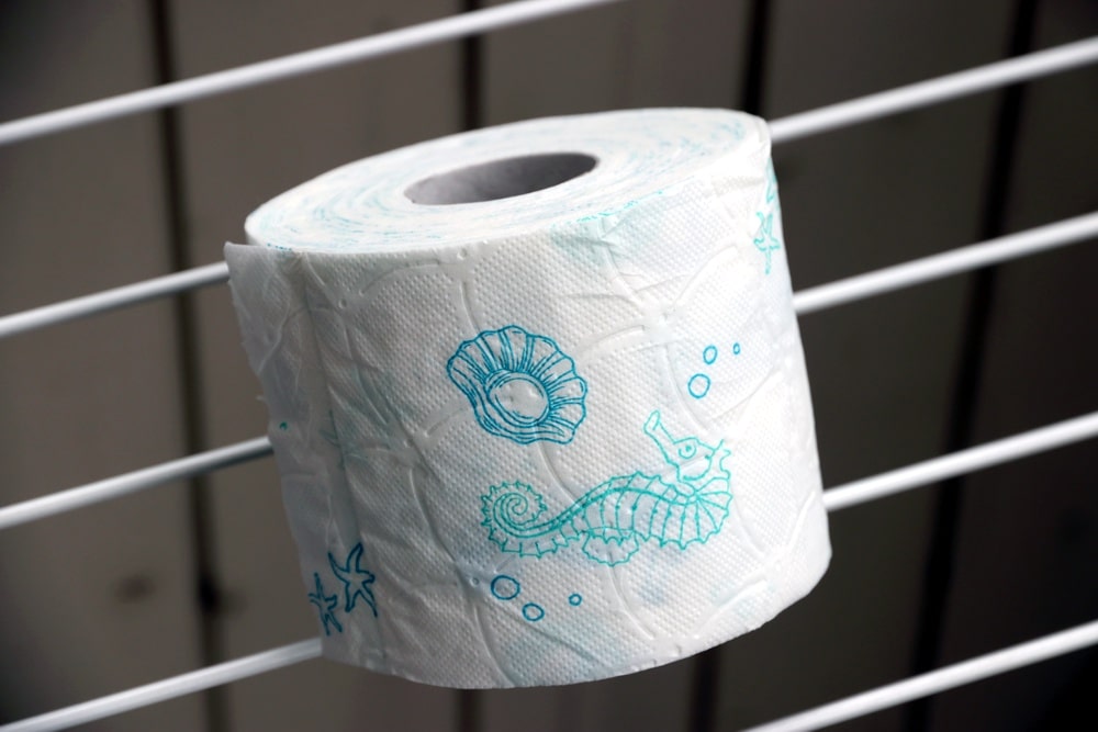 Toilettenpapier. Foto: L-IZ.de