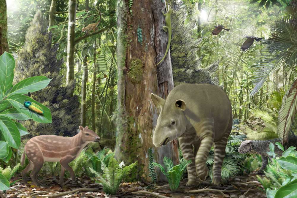 Künstlerische Darstellung des Ökosystems im Geiseltal vor 47 Millionen Jahren mit dem kleinwüchsigen Urpferd Propalaeotherium links im Bild, dem frühen Tapir Lophiodon in der Mitte und einem jungen landlebenden Krokodil Bergisuchus im Hintergrund. Foto: Márton Szabó