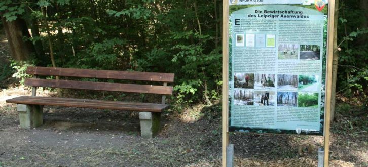 Informationstafel im Waldgebiet Die Nonne. Foto: Ralf Julke