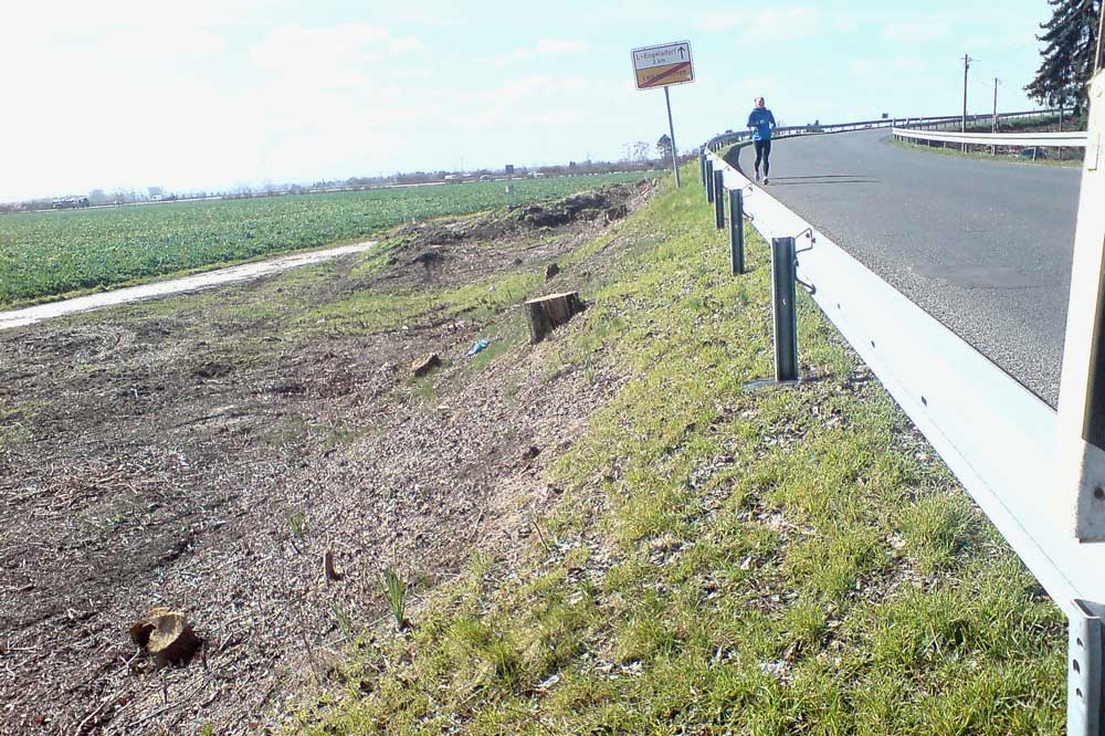 Kahlschlag an der Auffahrt zur Brücke über die A14. Foto: ADFC Leipzig