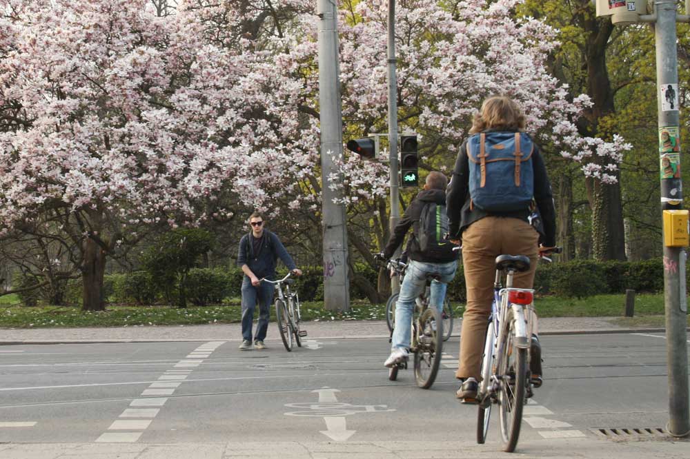 Bettelampel in der Nähe des Klingerwegs. Foto: Ralf Julke