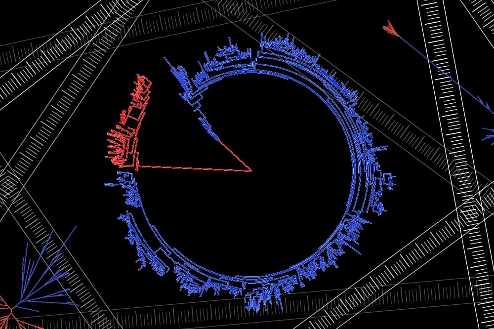 Baumdiagramme wie dieses bilden die Stammesgeschichte von Bakterien ab. Sie sind die Grundlage für das Verständnis mikrobieller Evolution. Foto: Shino Shiobara/Shawn McGlynn