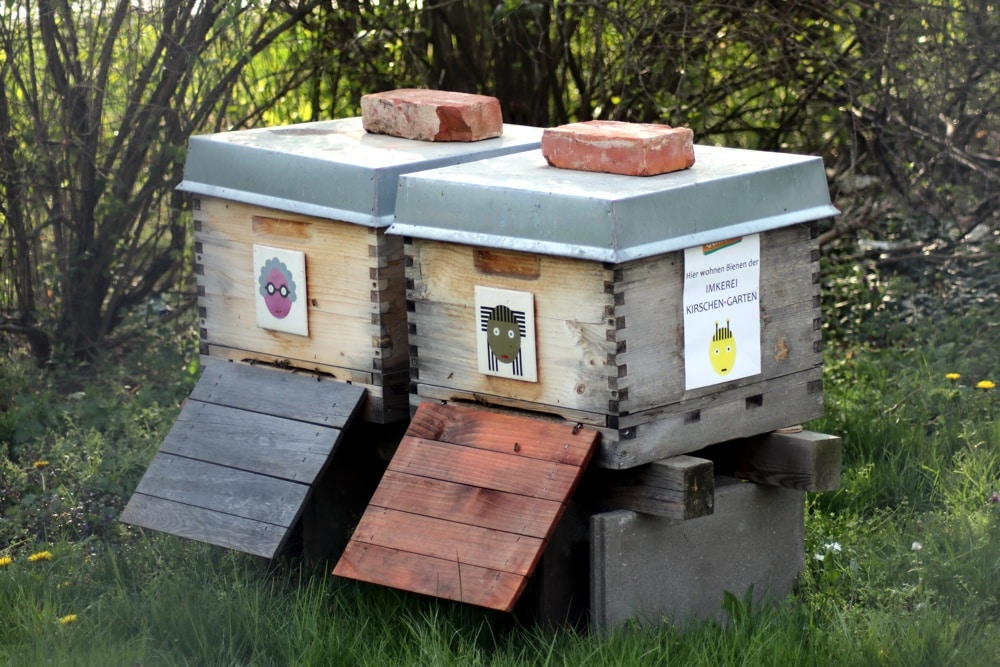 Bienenstöcke an der Sportarena. Foto: LZ
