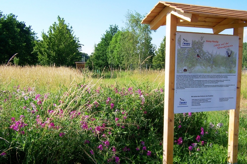 Es grünt und blüht: Das Biotop Plaußig im Norden Leipzigs steuert der NABU Leipzig für den Biotopverbund bei. Weitere Flächen der anderen Akteure werden mit der Schmetterlingswiese verbunden. Fotos: Steffen Wagner