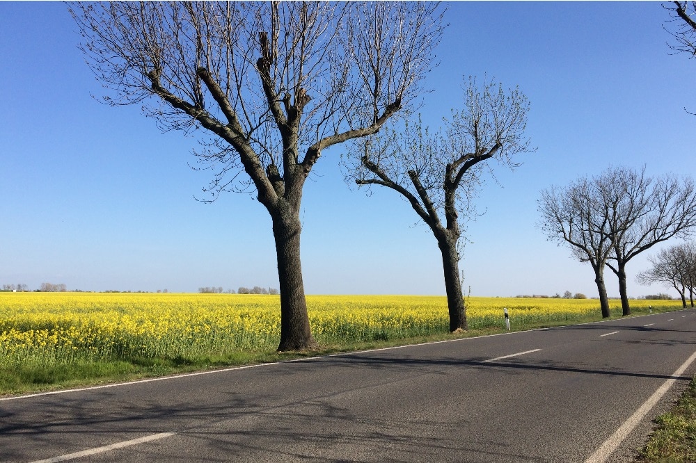 Wohin geht der Weg in Zukunft? Foto: L-IZ.de
