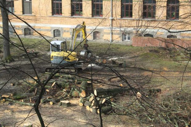 Der Schulhof der Apollonia-von-Wiedebach-Schule am 28. Februar. Foto: Ralf Julke