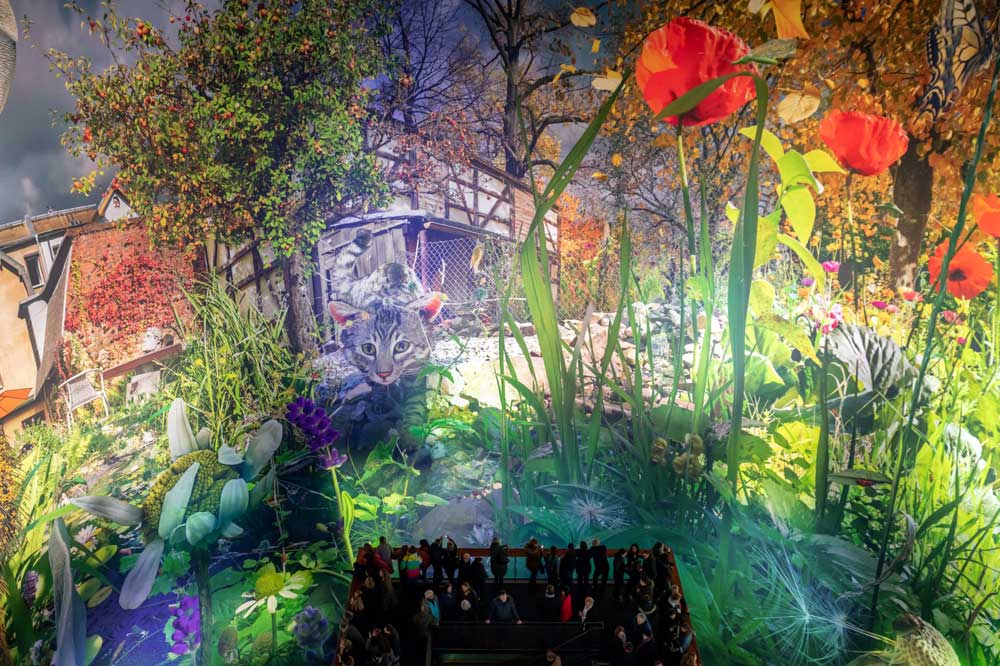 Mal aus der (Garten-)Vogelperspektive: Carolas Garten. Foto: Tom Schulze