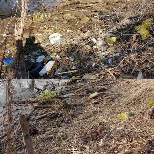 Das Muldeufer vor und nach einer Sammelaktion. Foto: Chris Daiser