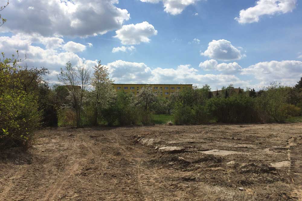 Blick zur Streuobstwiese neben der künftigen Parkstadt. Foto: L-IZ