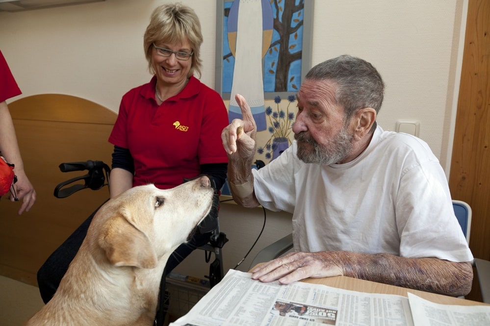 Der ASB-Besuchshund im Einsatz, Foto: ASB