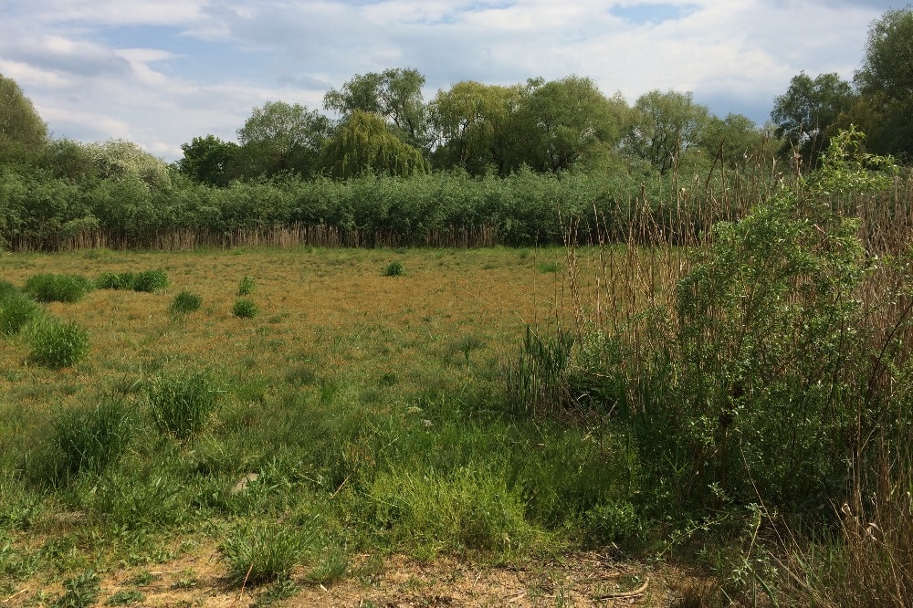 Ein See ohne Wasser. Foto: L-IZ.de
