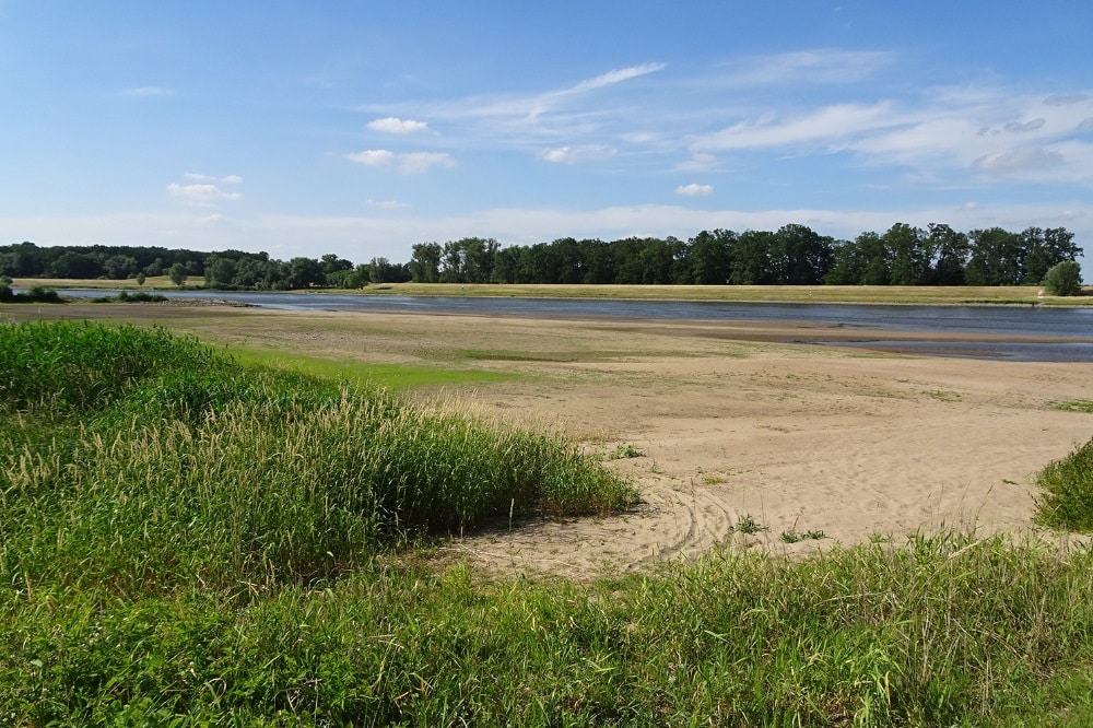 Elbe bei Schönberg im Juni 2018 © Matthias Koschorreck