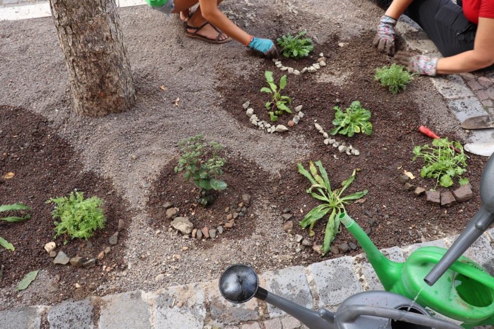 Leipzig blüht auf. Foto: Ökolöwe