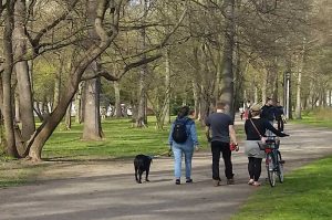Nur mit Leine: Mit Wuff im Park. Foto: Marko Hofmann