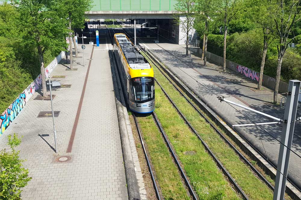 Straßenbahn der Linie 16 am Messegelände. Foto: Marko Hofmann