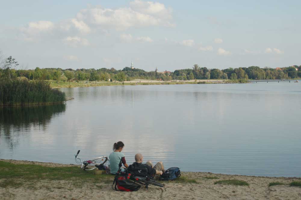 Am Nordstrand des Cospudener Sees. Foto: Ralf Julke