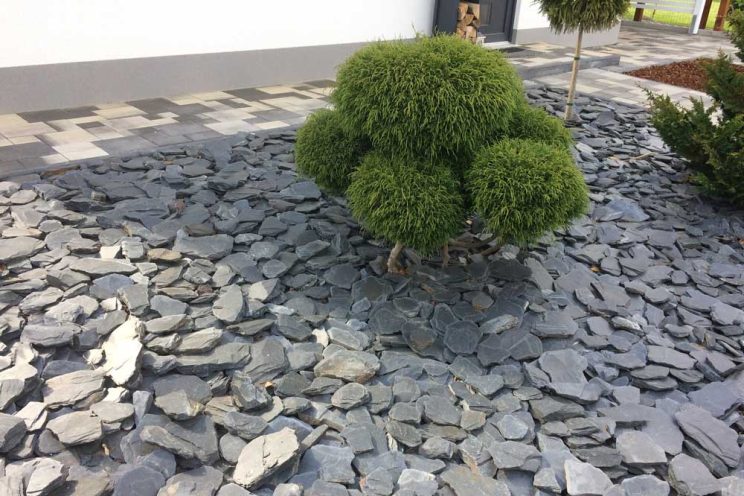 Einsames Bäumchen in zugeschotterter Landschaft. Foto: LZ
