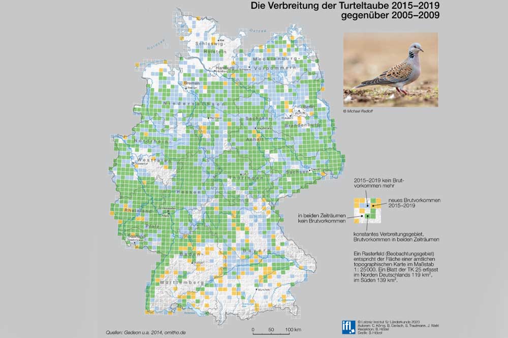 Nachweis von Turteltauben. Karte: Nationalatlas / IfL