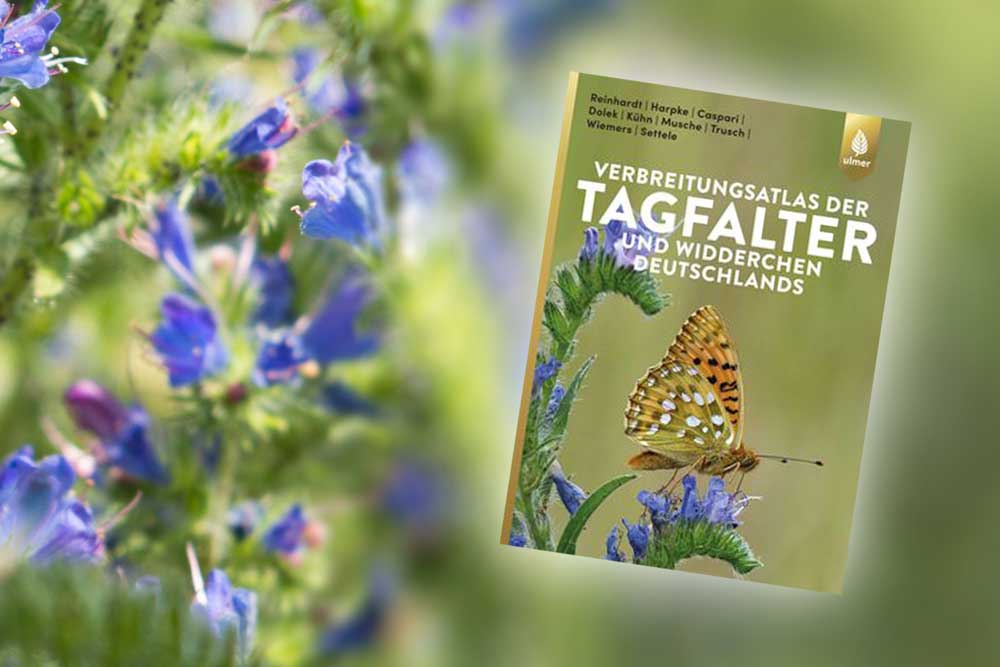 Verbreitungsatlas der Tagfalter und Widderchen Deutschlands. Foto: UFZ