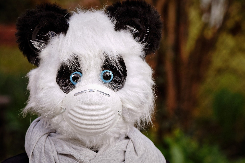 Eine Grundschulklasse muss wegen des Coronavirus in Quarantäne. Foto: Alexas_Fotos, Pixabay